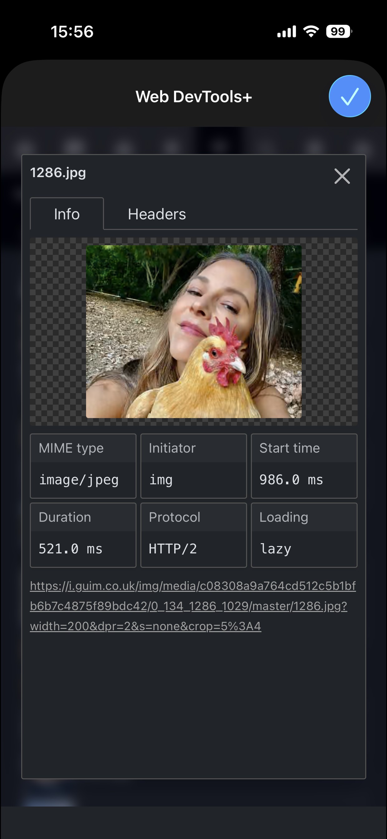Web Dev Tools screenshot - Device Info shows UserAgent, Display info, Network conditions and more. One tap to copy to clipboard