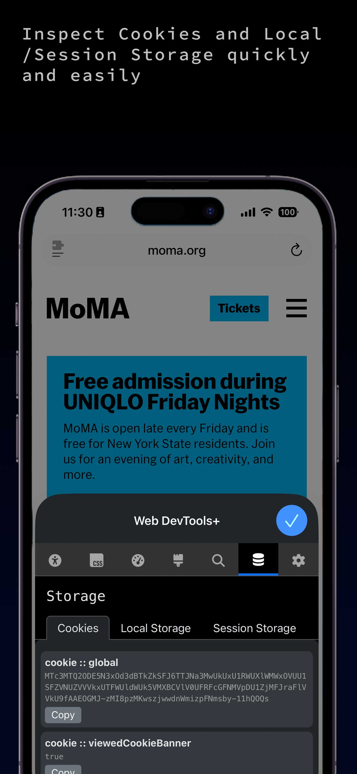 Web Dev Tools screenshot - Inspect Cookies and Local/Session Storage quickly and easily