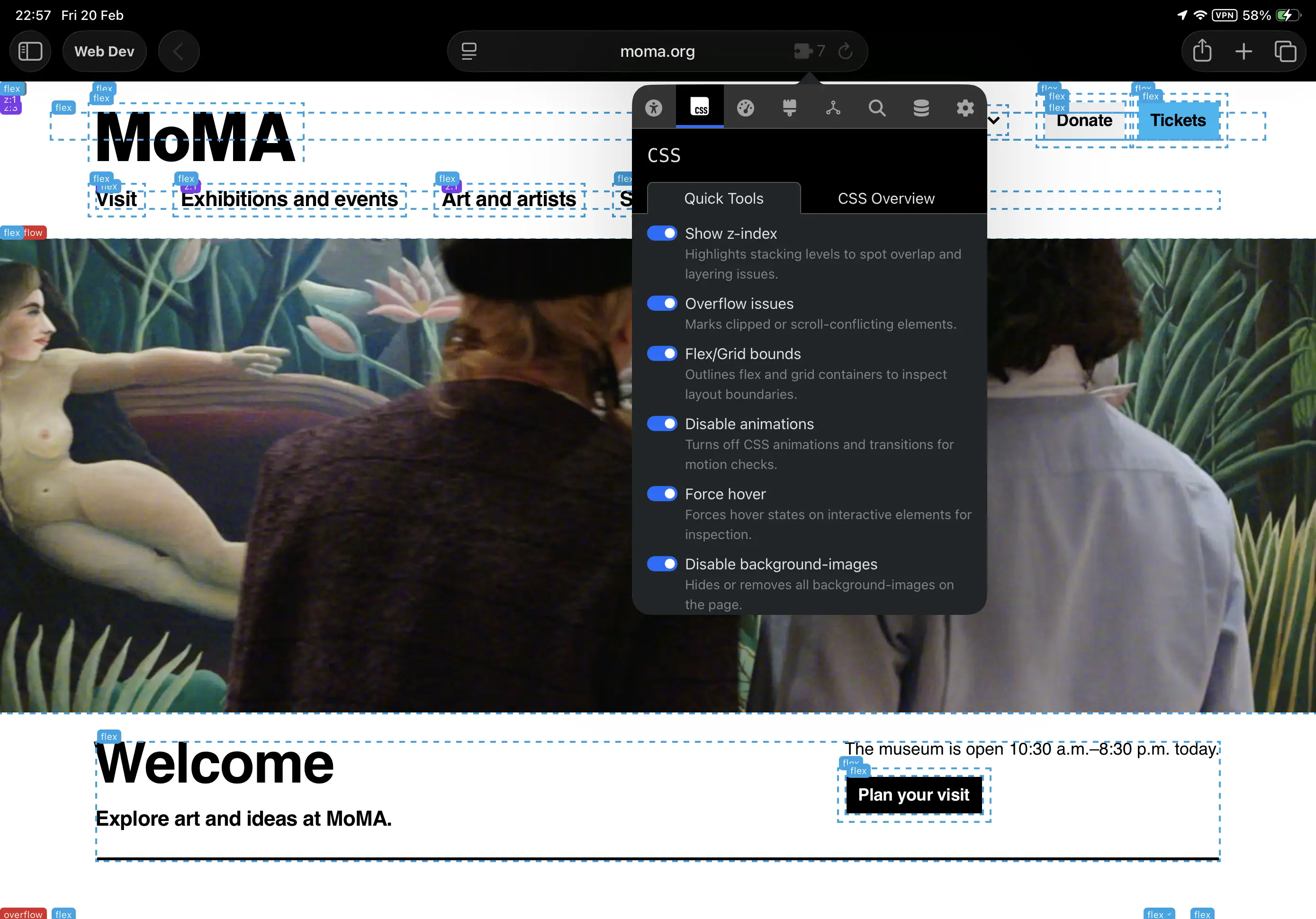 Web Dev Tools for iPadOS screenshot 1