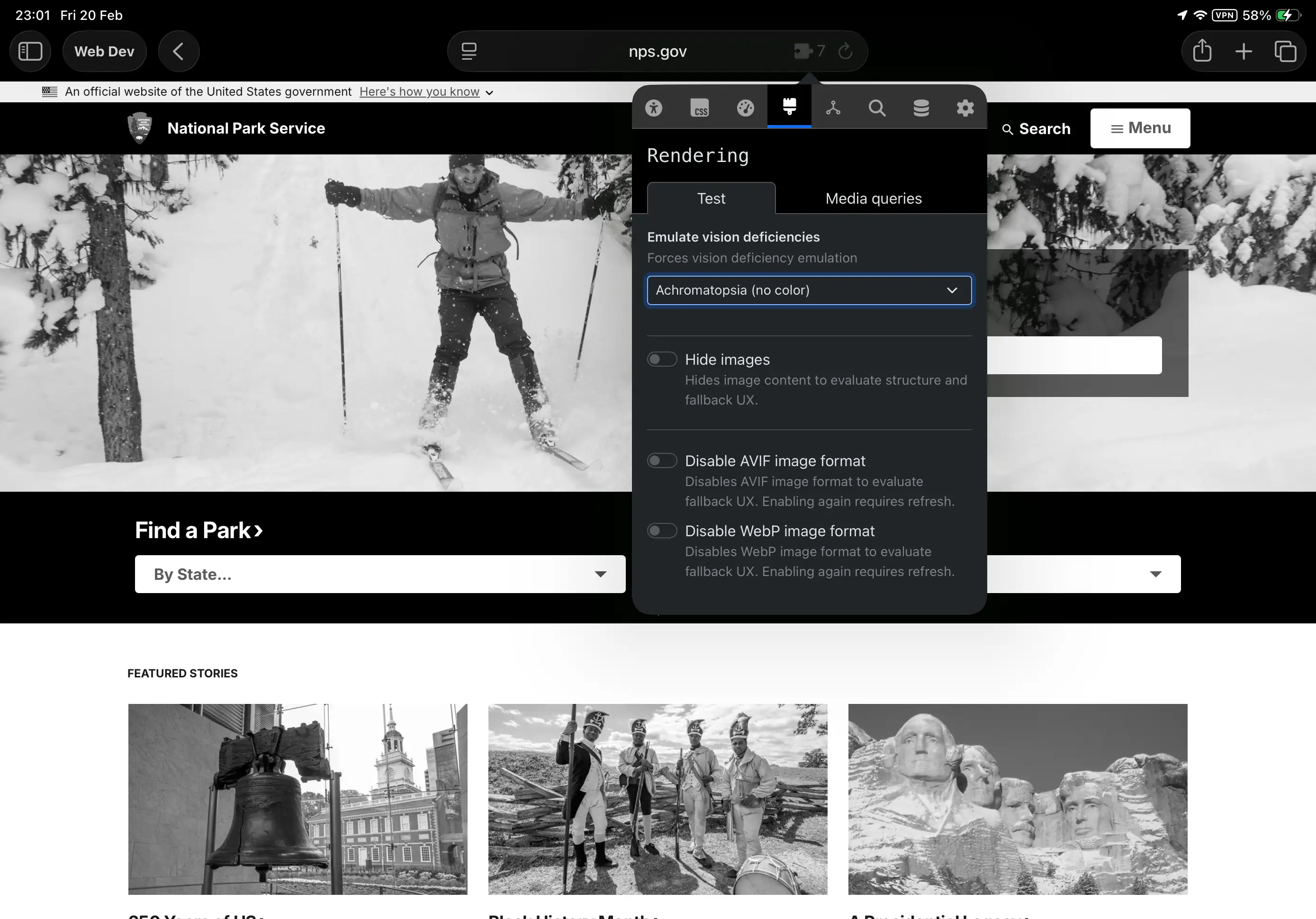 Web Dev Tools for iPadOS screenshot 5